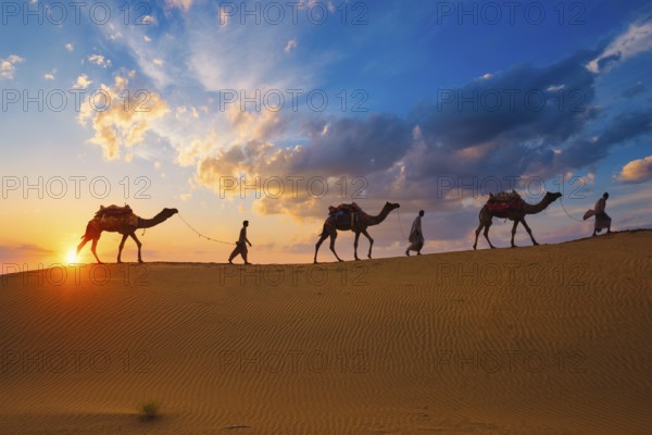 Indian cameleers camel drivers bedouin with camel silhouettes in sand dunes of Thar desert on sunset. Caravan in Rajasthan travel tourism background safari adventure. Jaisalmer, Rajasthan, India