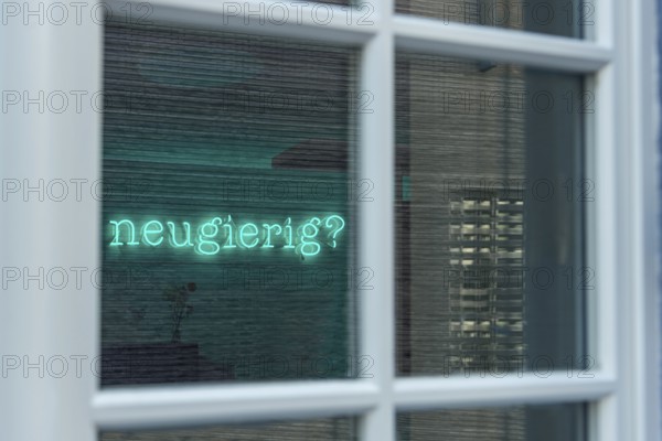 Window, lettering Curious