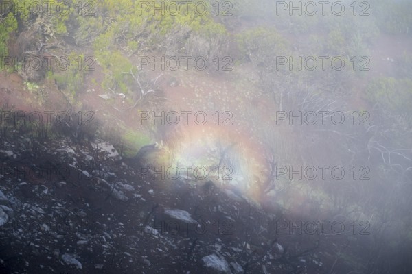 Fog thins, halo, ring of light, atmospheric phenomenon, mountains, Madeira, Portugal