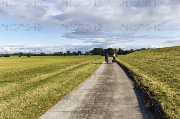 Two cyclists, bike tour, Elbe cycle path, Elbe dike, Neuhaus district, Lower Saxony Elbe floodplain, Germany