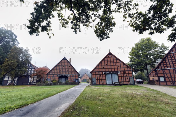 Well-preserved half-timbered houses, four-frame buildings, hall houses, arranged in a circle, traditional architecture, Rundling, Rundlingsdorf Schreyahn im Wendland, Wustrow, Lüchow-Dannenberg, Germany