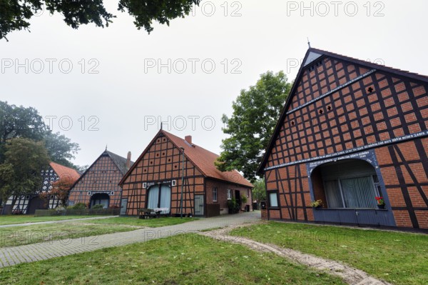 Well-preserved half-timbered houses, four-frame building, hall houses, arranged in a circle, traditional architecture, Rundling, Rundlingsdorf Schreyahn im Wendland, Wustrow, Lüchow-Dannenberg, Germany