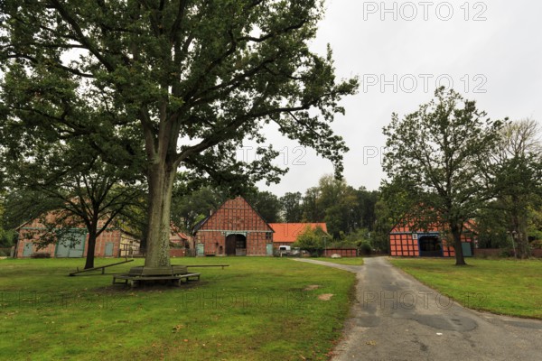 Rundling Museum, open-air museum in Rundlingsdorf Lübeln, Rundling settlement, Runddorf, traditional architecture, Lüchow-Dannenberg, Wendland, Germany