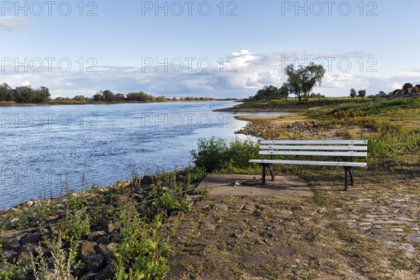 Bench, banks of the Elbe, river landscape, Hitzacker, Lüchow-Dannenberg, Wendland, Elbe floodplain, Germany