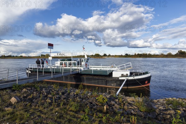 Ferry on a jetty, banks of the Elbe, river landscape, Hitzacker, Lüchow-Dannenberg, Wendland, Elbe floodplain, Germany