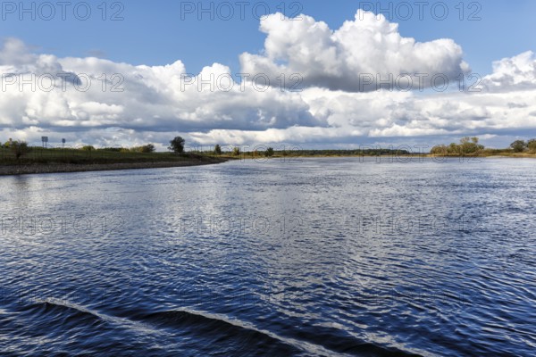 Bank of the Elbe, river landscape, Bleckede, Lüchow-Dannenberg, Wendland, Elbe floodplain, Germany