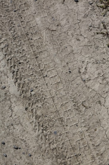 Close-up of multiple bicycle tire tracks in dried light tan mud in late summer, Quebec, Canada