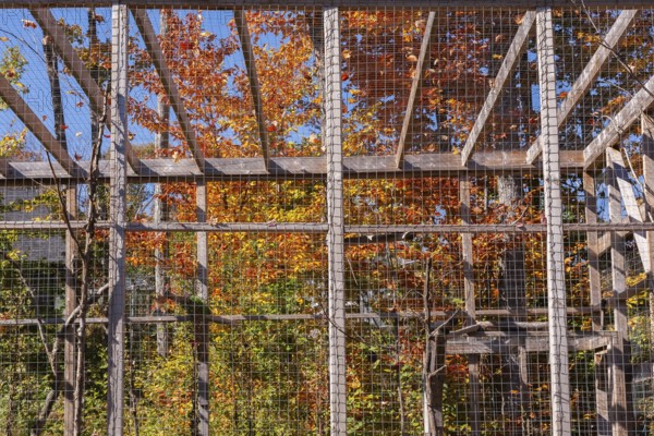 Large wood frame and wire mesh cage for caring and keeping birds in at an animal refuge, Quebec, Canada