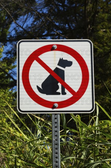 Posted white, red and black pictogram sign warning that dogs are not allowed or forbidden in public park, Quebec, Canada