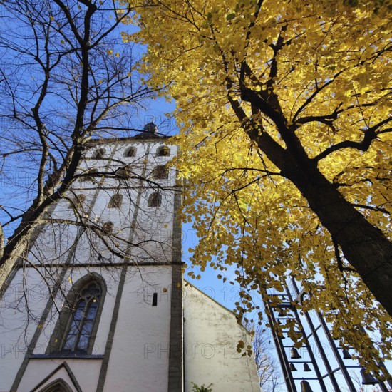 Jakobikirche im Herbst, Lippstadt, North Rhine-Westphalia, Germany