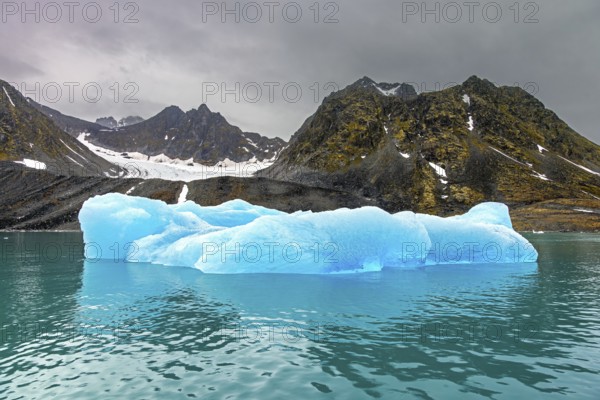Ice floes calved from Lilliehöökbreen glacier drifting in the Lilliehöökfjorden, fjord branch of Krossfjorden in Albert I Land, Spitsbergen / Svalbard