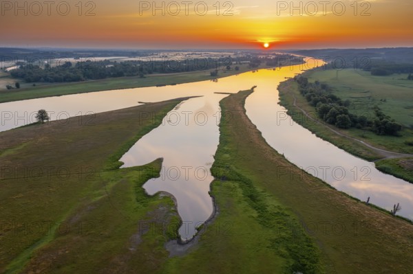 Aerial view over the Oder river in the German-Polish nature reserve Lower Oder Valley International Park, Uckermark district, Brandenburg, Germany