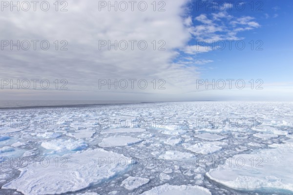 Drift ice / brash ice, floating field of sea ice composed of several ice floes in the Arctic Ocean at Svalbard / Spitsbergen, Norway
