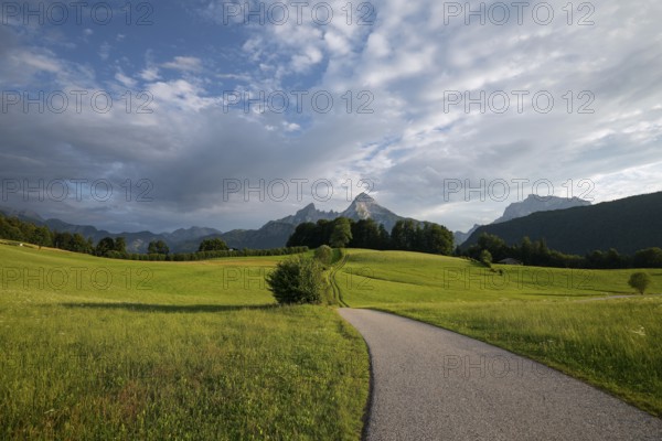 Watzmann at sunset, with meadow and pasture in summer, sunbeams and clouds. Berchtesgaden, Bayern, Germany