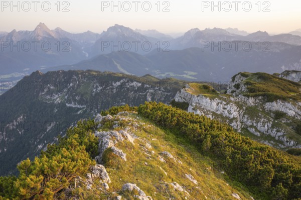 At the Berchtesgaden High Throne in summer at sunset, view of Watzmann. Untersberg, Berchtesgadener Land