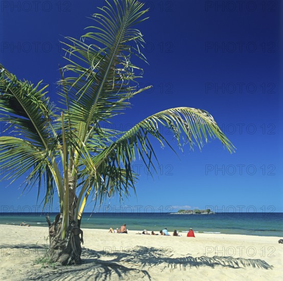 Palm beach near Kande on Lake Malawi, Malawi, Africa, July 2000, vintage, retro, old, historic