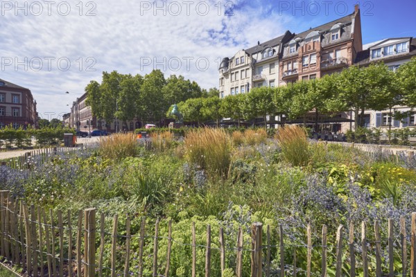 Park, flower bed, wooden fence, trees, general architecture, houses, buildings, blue sky, altocumulus clouds, nimbostratus clouds, Luisenplatz, Rheinstraße, Wiesbaden, state capital, district-free city, Hesse, Germany