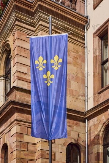Flag of the city of Wiesbaden, town hall, façade, sandstone building material, architect Georg von Hauberrisser, new renaissance style, diffuse light, slightly sunny, Schlossplatz, Wiesbaden, state capital, district-free city, Hesse, Germany
