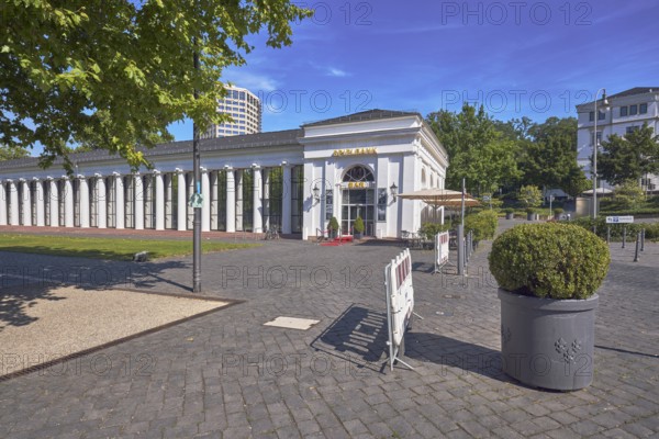Casino, colonnades, architect Heinrich Jakob Zengerle, historic building, planter with boxwood (Buxus sempervirens), entrance, barrier railings, barrier bollards, barriers, trees, lawn, blue sky, cirrus clouds, Kurhausplatz square, Wiesbaden, state capital, independent city, Hesse, Germany