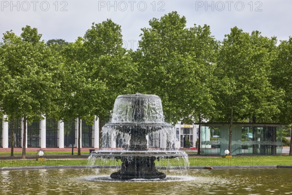 Cascade fountain, green spaces, trees, Platanus × acerifolia (Platanus ×hispanica), lawn, cloudy, diffuse light, slightly sunny, Kurhausplatz, Wiesbaden, state capital, independent city, Hesse, Germany