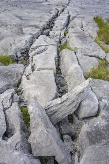 Karst landscape of the Burren, Keelhilla, Carran, County Clare, Ireland