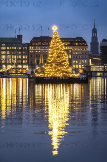 The decorated and illuminated Alster fir tree on the Inner Alster with reflections on the water in December at the blue hour with the main church of St. Michaelis, Jungfernstieg, Hamburg, Germany