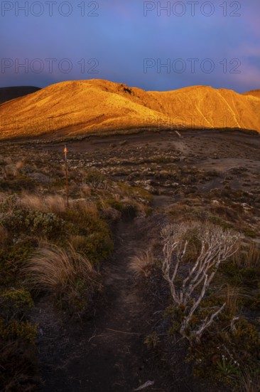 Volcanic landscape, Tama Lake Walk (Tama Lakes Track), evening light, sunset. Tongariro National Park, North Island, New Zealand