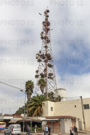 A large radio tower rises high, surrounded by palm trees and municipal buildings under slightly cloudy skies in Morocco