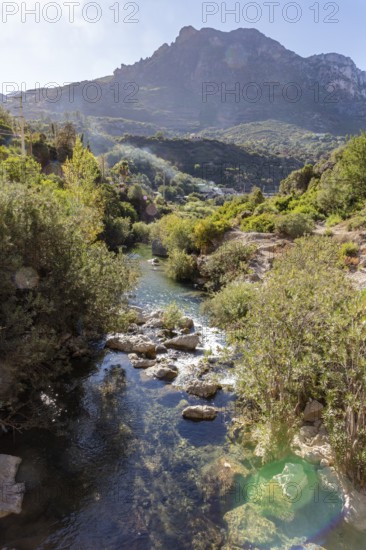 Idyllic stream flows through a green, wooded landscape with mountains, El Kelaa torrent in Morocco