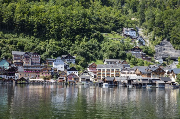 A, Hallstatt, Traditional wooden houses on the shore, surrounded by lush greenery and water, Austria