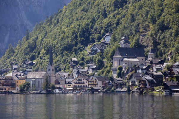 A, Hallstatt, A picturesque mountain village with lakeside churches in front of a steep forest slope, Austria