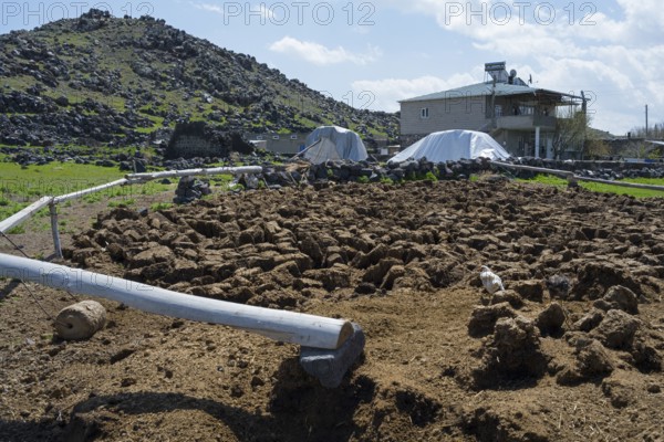 Rural area with hills, rocky soil and farm buildings under blue skies, cow dung to dry, Demirtepe, Dogubayazit, Dogubayazit, Dogubeyazit, Agri Province, Agri, Eastern Anatolia, Anatolia, Turkey
