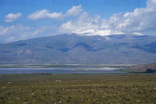 A large lake with snow-capped mountains on the horizon under blue sky, Dogubayazit swamps, wetland near Cevirme, Dogubayazit, Dogubeyazit, Agri Province, Agri, Eastern Anatolia, Anatolia, Turkey