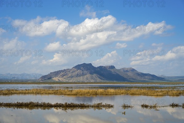 Peaceful mountain landscape with reflecting water and grassy shores under blue sky, Dogubayazit swamps, wetland near Cevirme, Dogubayazit, Dogubayazit, Dogubeyazit, Agri Province, Agri, Eastern Anatolia, Anatolia, Turkey
