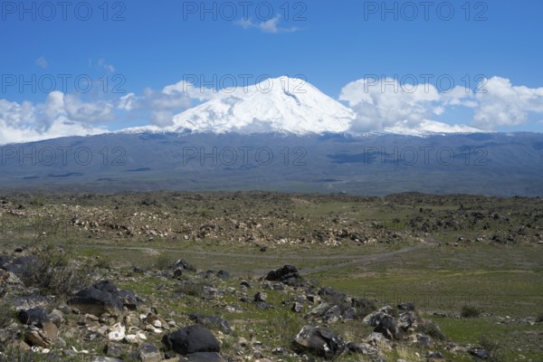 Peaceful landscape with snow-covered mountain and rocky plains under blue sky, landscape near Demirtepe, Great Ararat, Büyük Agri Dagi, Dogubayazit, Dogubayazit, Dogubeyazit, Agri Province, Eastern Anatolia, Anatolia, Turkey