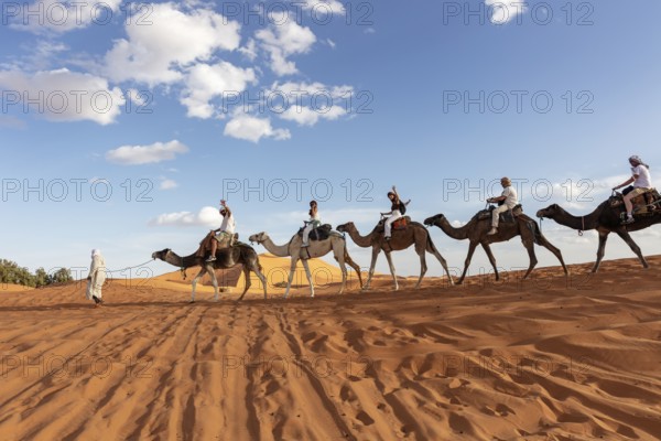 Camels with riders walk through the sunny desert under a blue sky, Sahara, Morocco