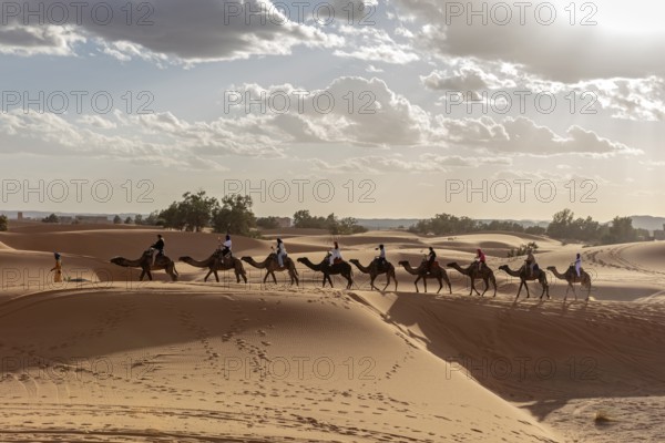 When the sun is low, caravan moves across the wavy dune landscape, Sahara, Morocco