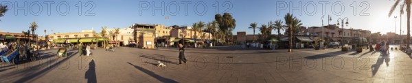 Town square with people and shops surrounded by palm trees in sunlight
