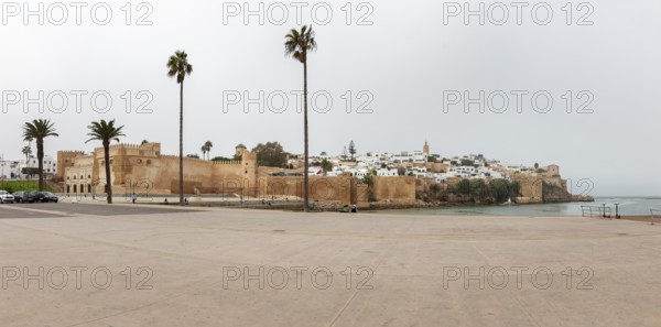 View of an old fortress near the coast with palm trees and a city in the background