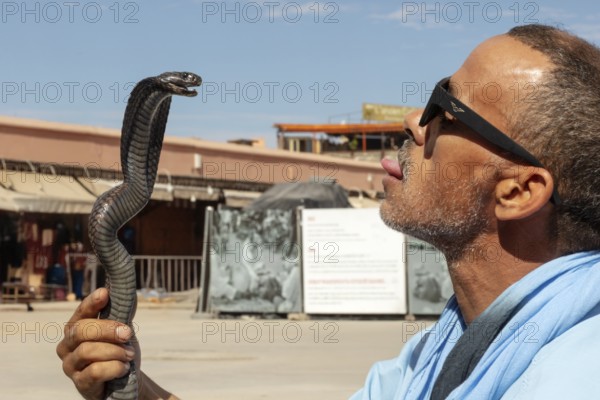 Man in an urban setting holds a snake and gestures impressively