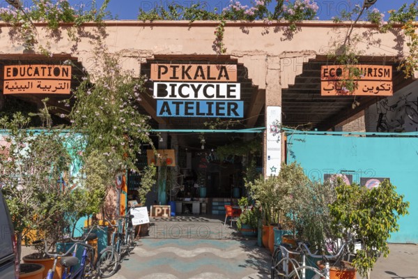 A lively studio in Marrakech, surrounded by plants and signs, that promotes cycling education and ecotourism