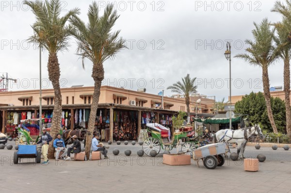 Market square with palm trees, carriages and a North African-style building on a cloudy day