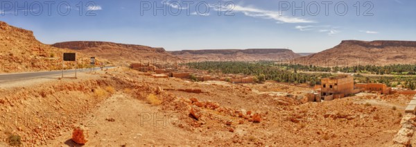 Desert landscape with road, trees and mountains under a blue sky
