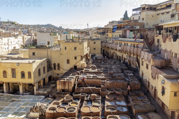Sunny tannery with numerous basins and traditional architecture
