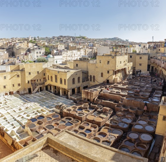 View of a traditional tannery in the old town of Fez under clear skies