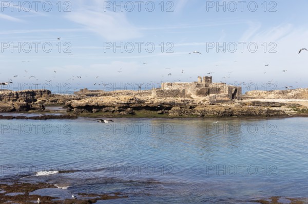 Ruined ruins on rocky island surrounded by sea and birds under blue skies