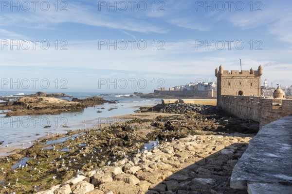 Rough rocky coast with a view of a historic fortress and the vast sea under clear skies