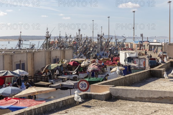 A lively harbor market with fishing boats and market stalls