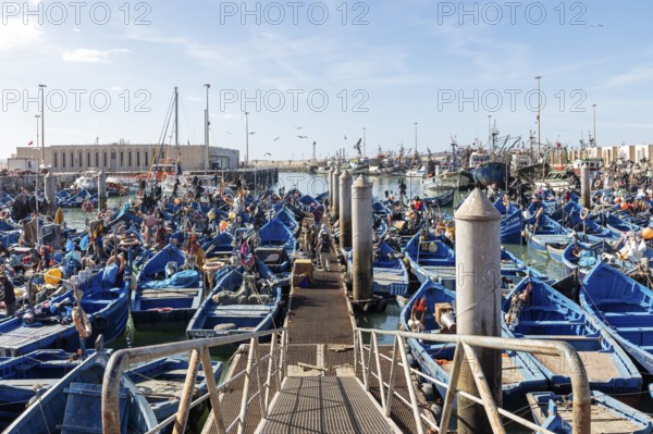 View from the jetty of a lively harbor full of blue fishing boats and busy people