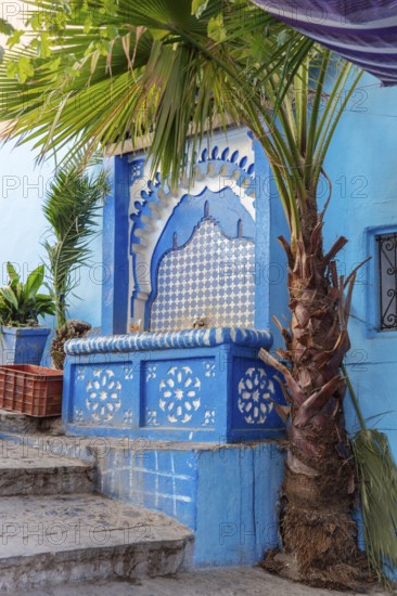 MAR, Chefchaouen, Medina